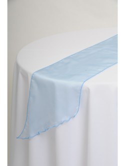 Baby Blue Organza