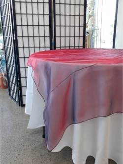 Red/Blue Organza Overlay