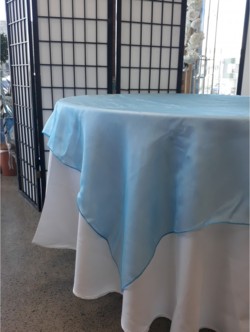 Baby Blue Organza Overlay