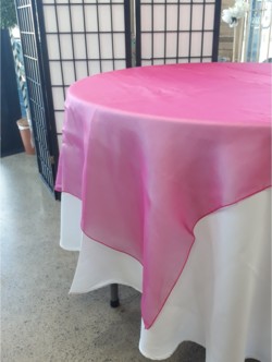 Hot Pink Organza Overlay