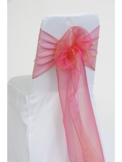 Golden Pink Organza