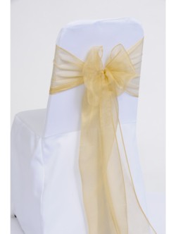 Gold Organza