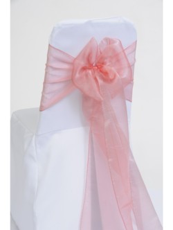 Salmon Organza