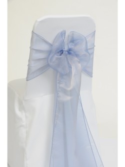 Sky Blue Organza