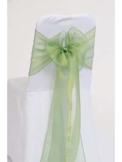 Granny Smith Organza