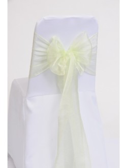 Mint Organza