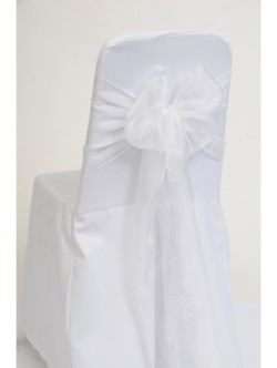 White Organza