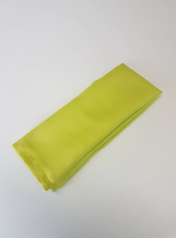 Lime Green Visa Napkin