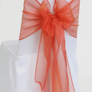 Accent Orange Organza