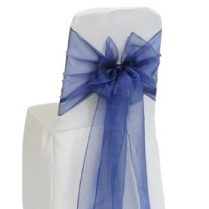 Accent Sapphire Organza