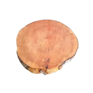 Wooden Log Slice
