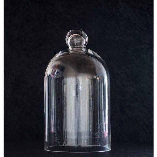 Glass Centrepiece Dome